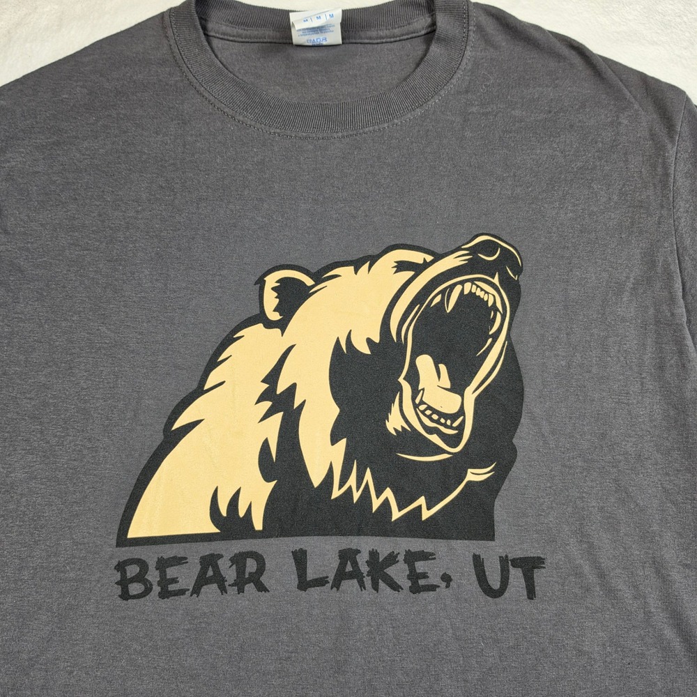 Port & Company Bear Lake UT T-Shirt Mens Medium Gray Excellent‎ Grizzly Graphic